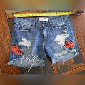 Flying Monkey Rose Embroidered Denim Shorts